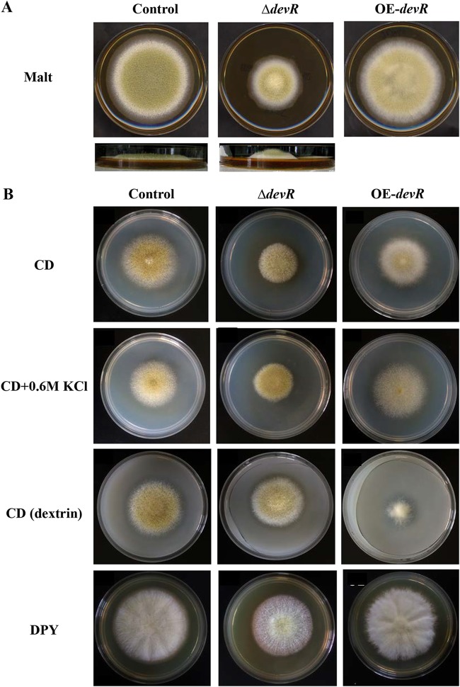 FIG 1