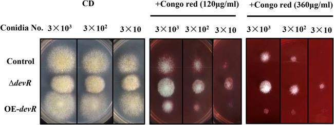 FIG 3