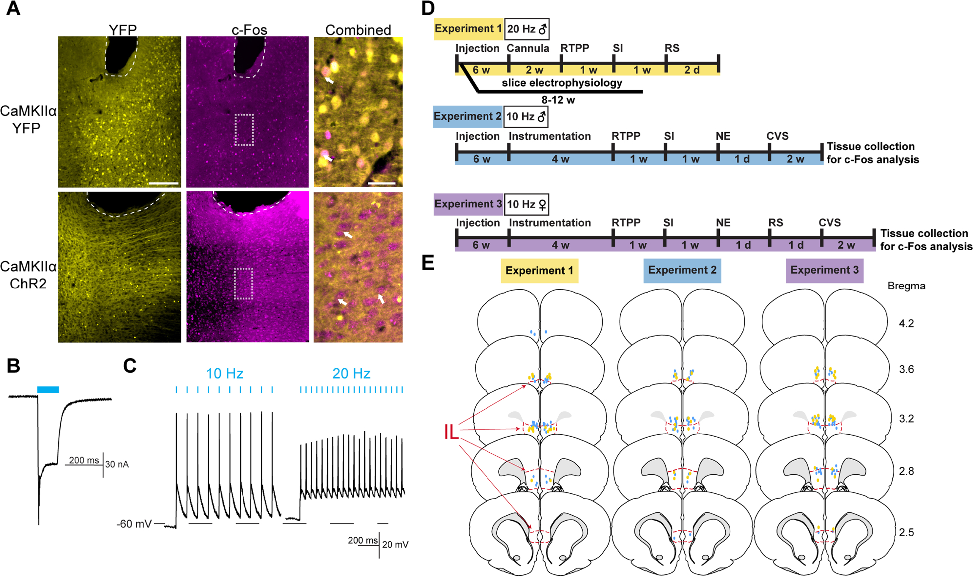 Figure 1: