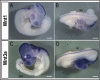 Figure 2—figure supplement 3.