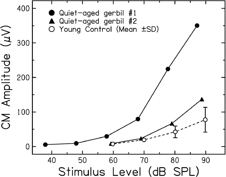 Fig 5