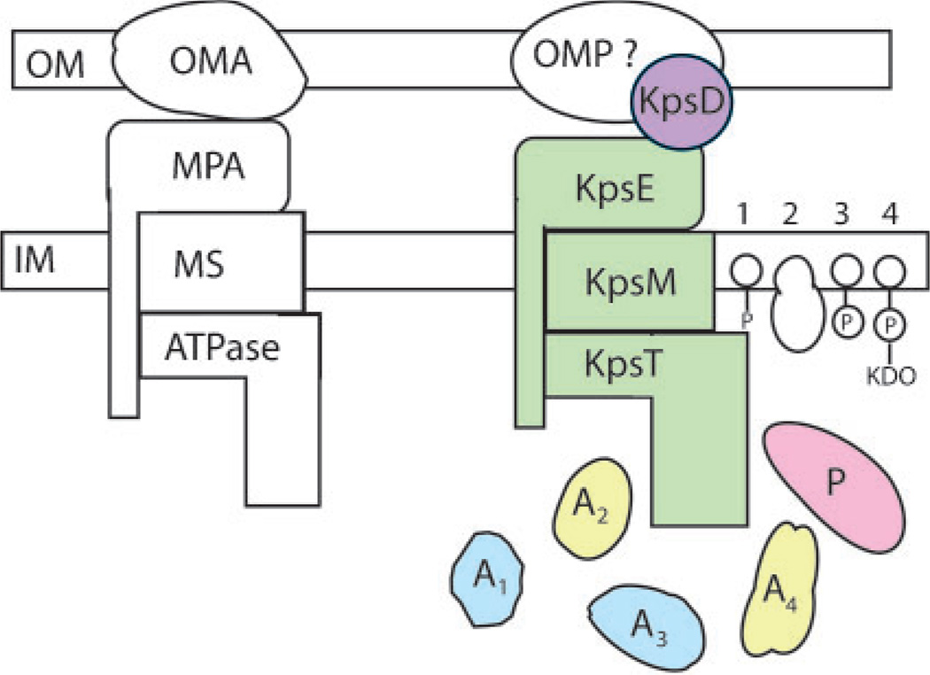 Fig. 1