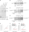 Figure 1—figure supplement 2.