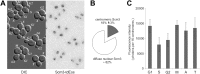 Figure 8—figure supplement 1.