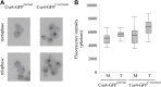 Figure 1—figure supplement 1.