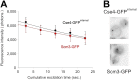 Figure 8—figure supplement 2.