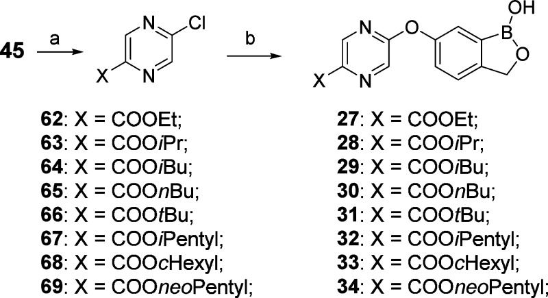 Scheme 8