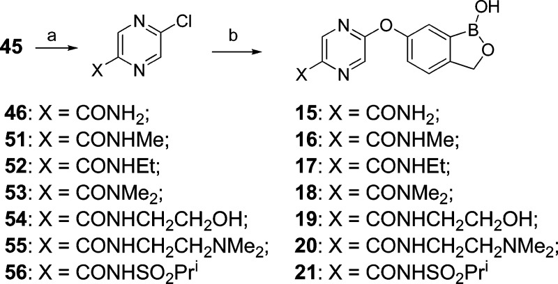 Scheme 5