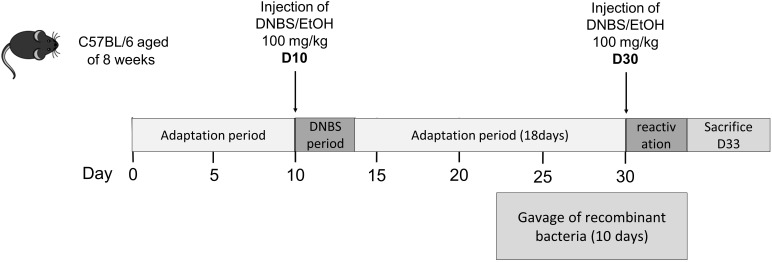 FIGURE 2