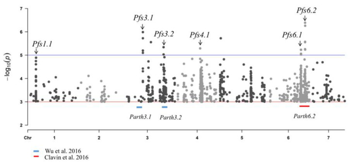 Figure 5