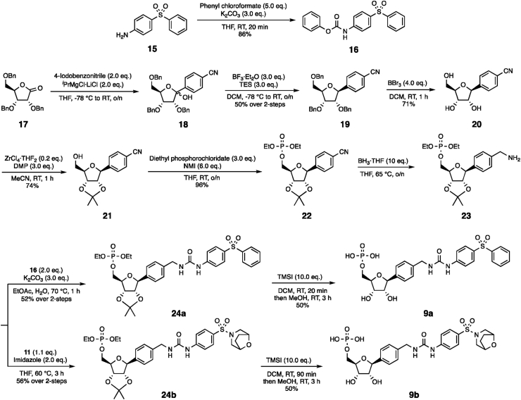 Scheme 2