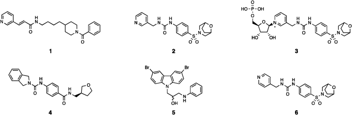 Figure 2