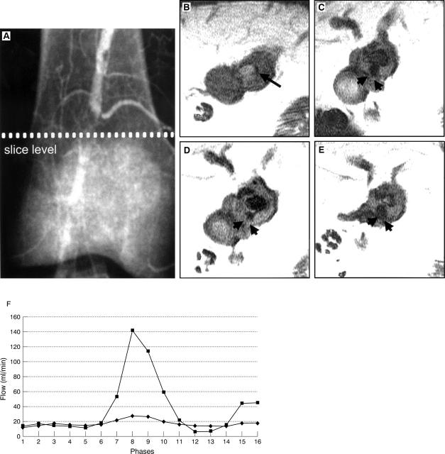 Figure 2  