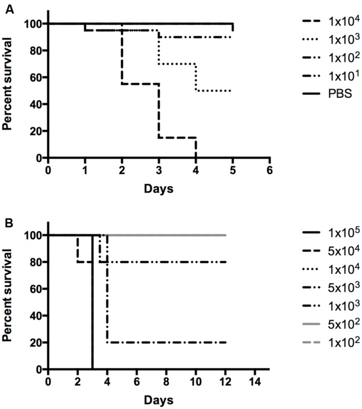 FIGURE 4