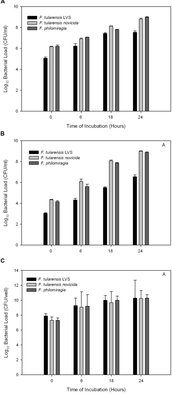 FIGURE 1