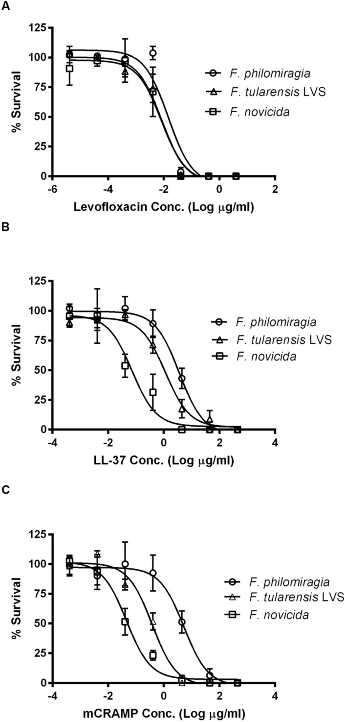 FIGURE 3