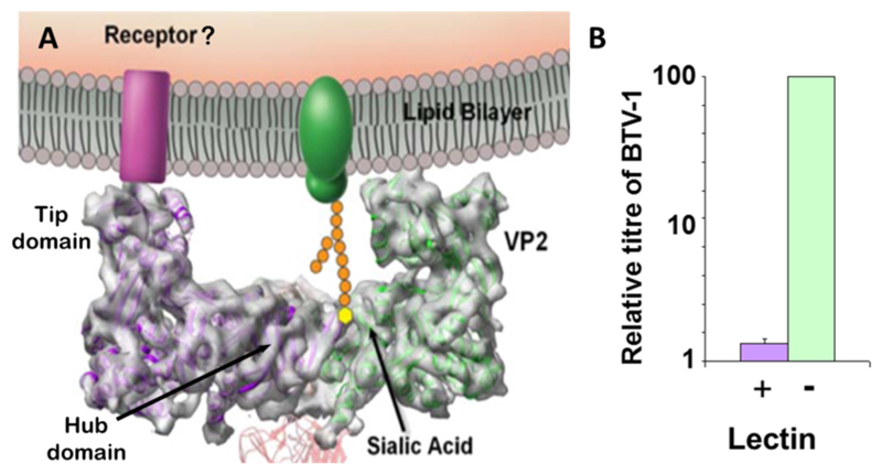 Fig. 4