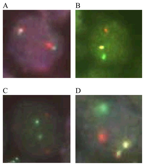 Fig. 2