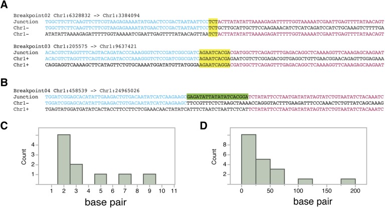 Figure 5—figure supplement 2.