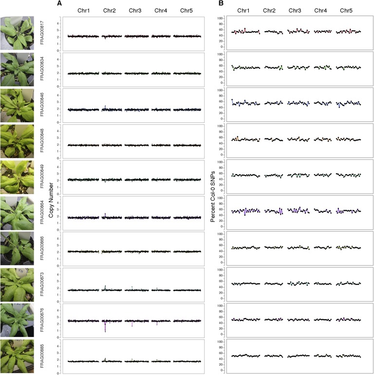 Figure 1—figure supplement 1.