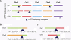 Figure 2—figure supplement 1.