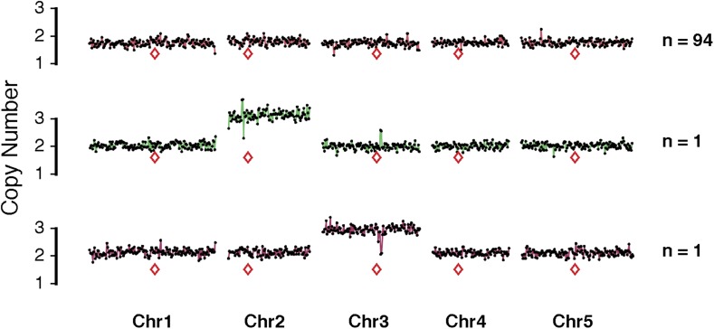 Figure 2—figure supplement 4.