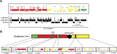 Figure 4—figure supplement 1.