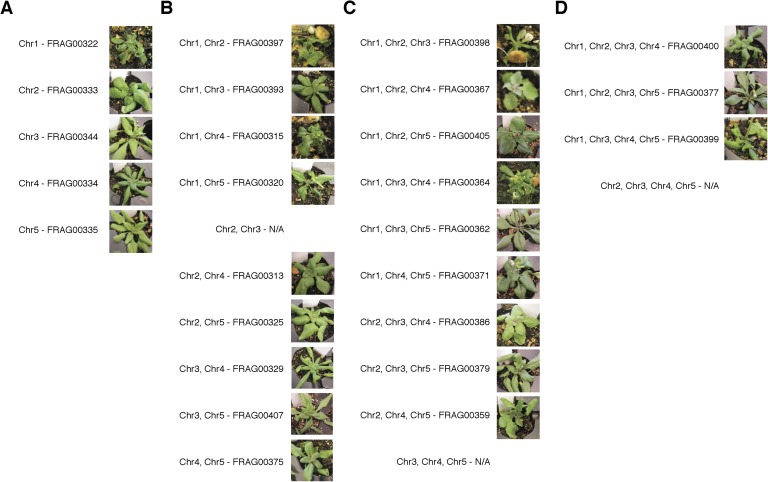 Figure 2—figure supplement 3.