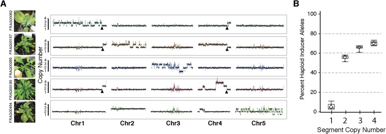 Figure 3.