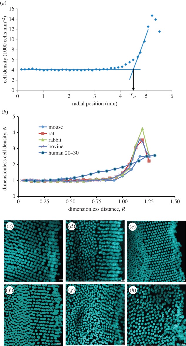 Figure 2.