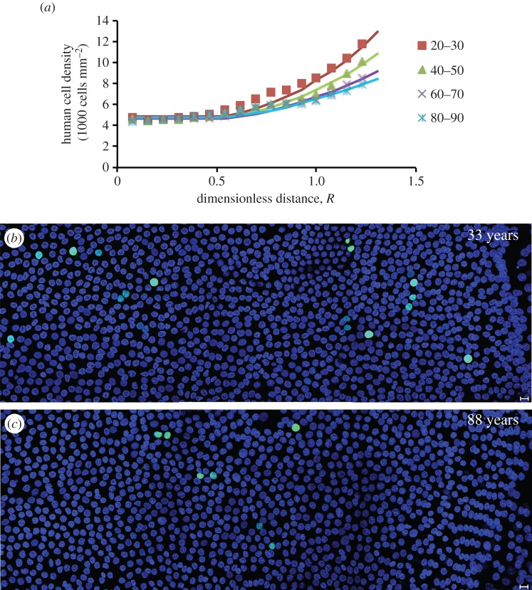 Figure 6.