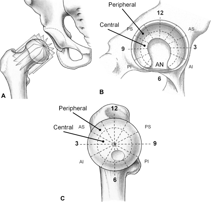 Fig. 3A–C