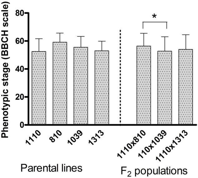 FIGURE 1