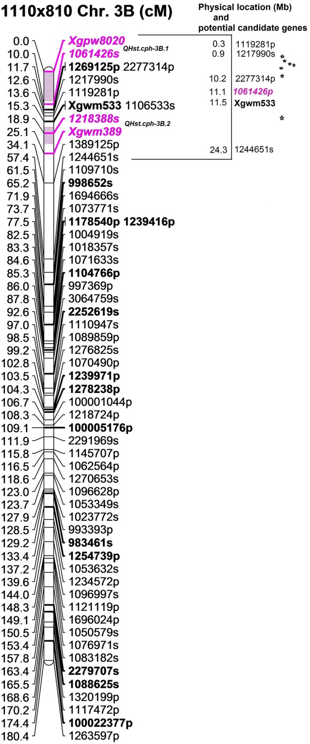 FIGURE 3