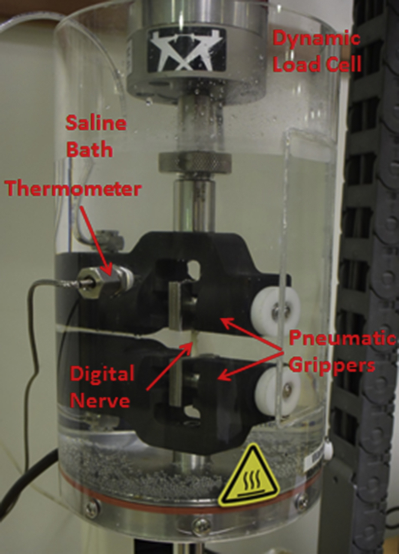 Fig. 2