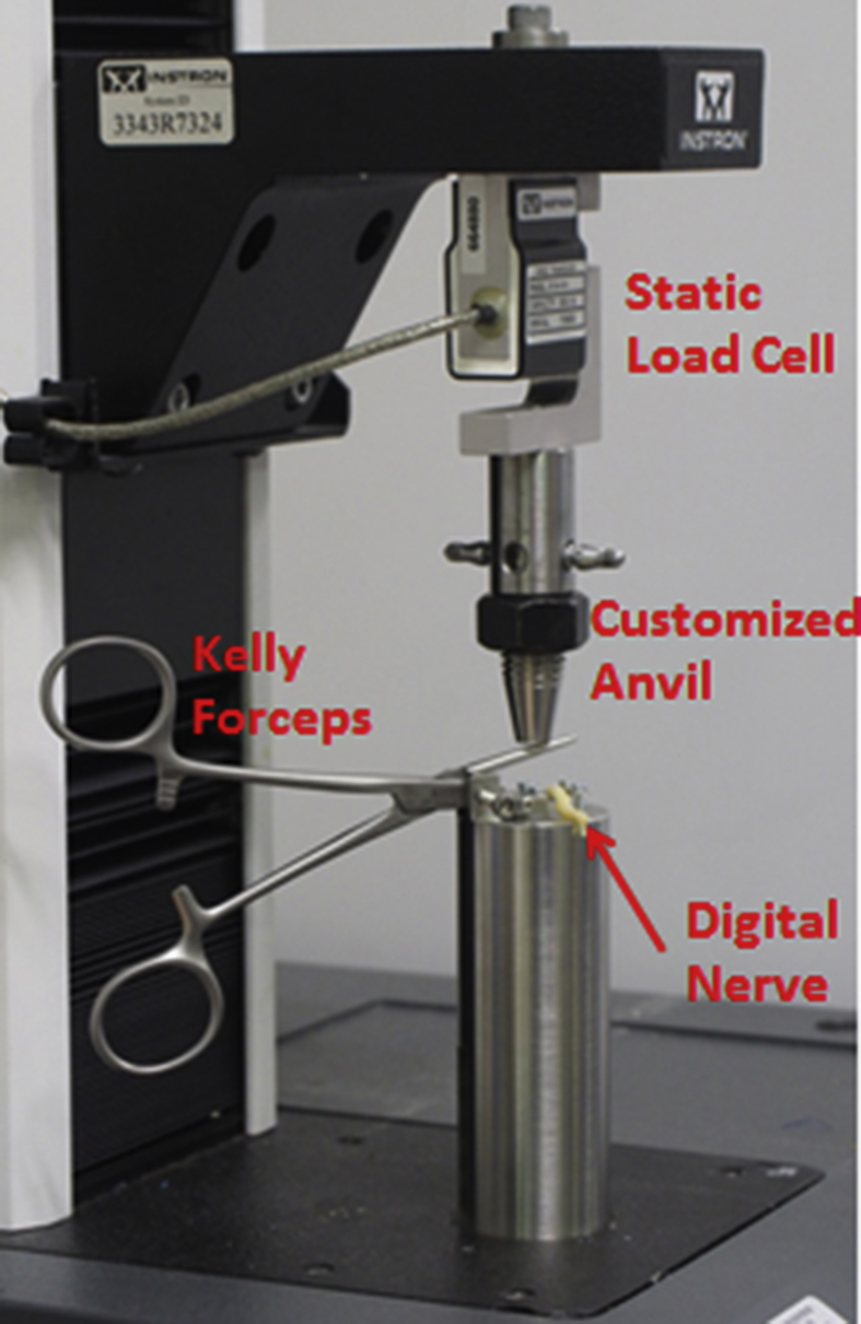 Fig. 1