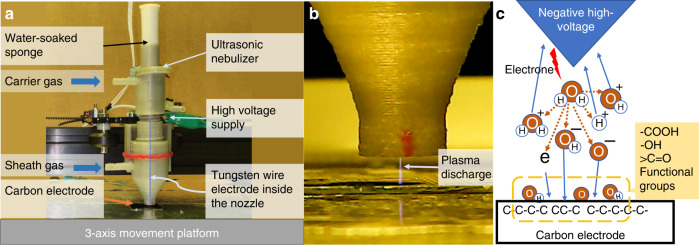 Fig. 1