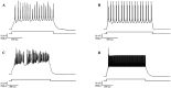 Figure 9: