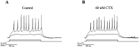 Figure 7: