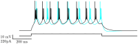 Figure 4: