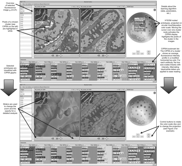 Fig. 2.