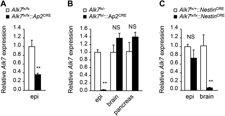 Figure 1—figure supplement 3.