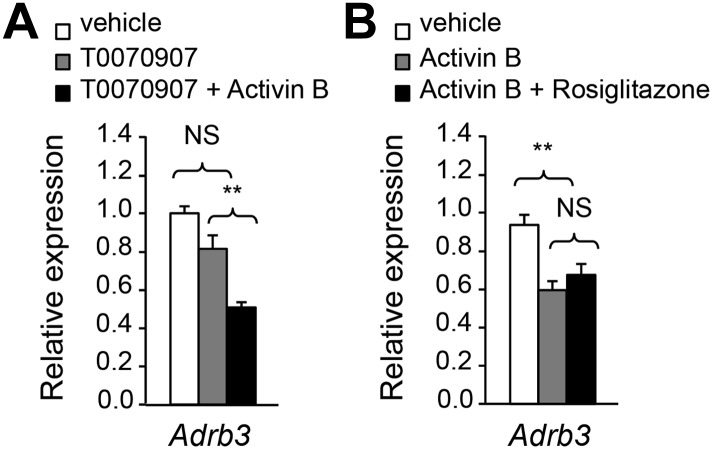 Figure 6—figure supplement 1.