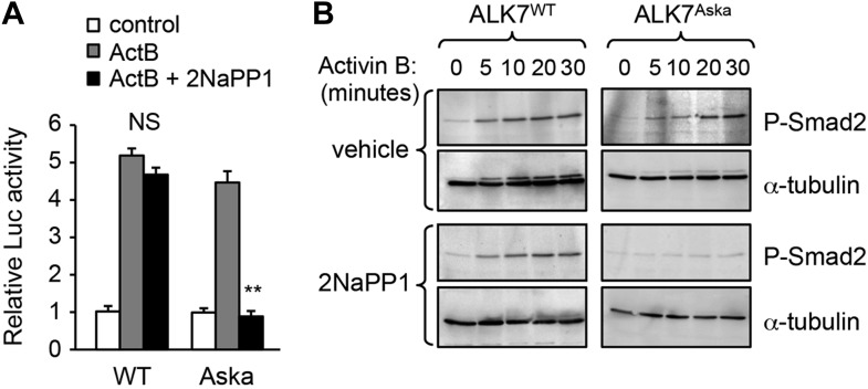 Figure 7—figure supplement 1.