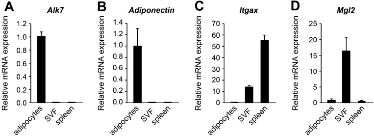 Figure 1—figure supplement 2.