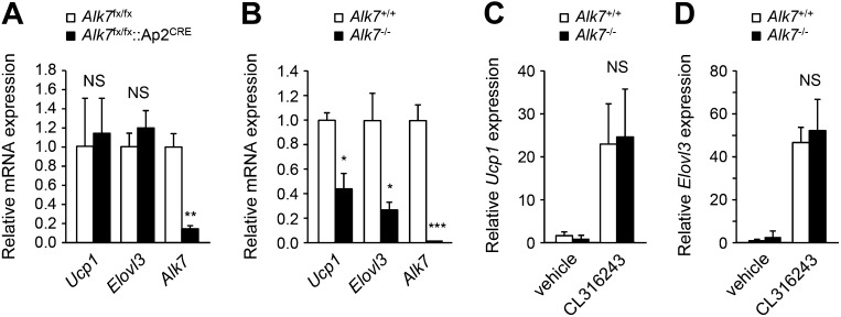 Figure 3—figure supplement 1.