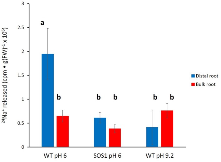 FIGURE 7