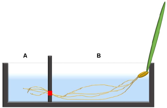 FIGURE 1