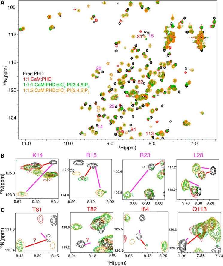 FIGURE 4.