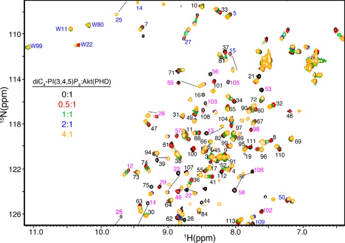 FIGURE 1.